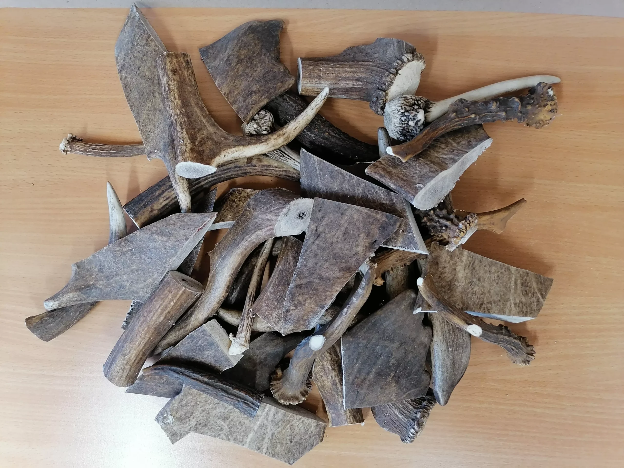 DIVOKÉ PAROŽÍ L (120-160g) pro psa do 35kg - Obrázek 2