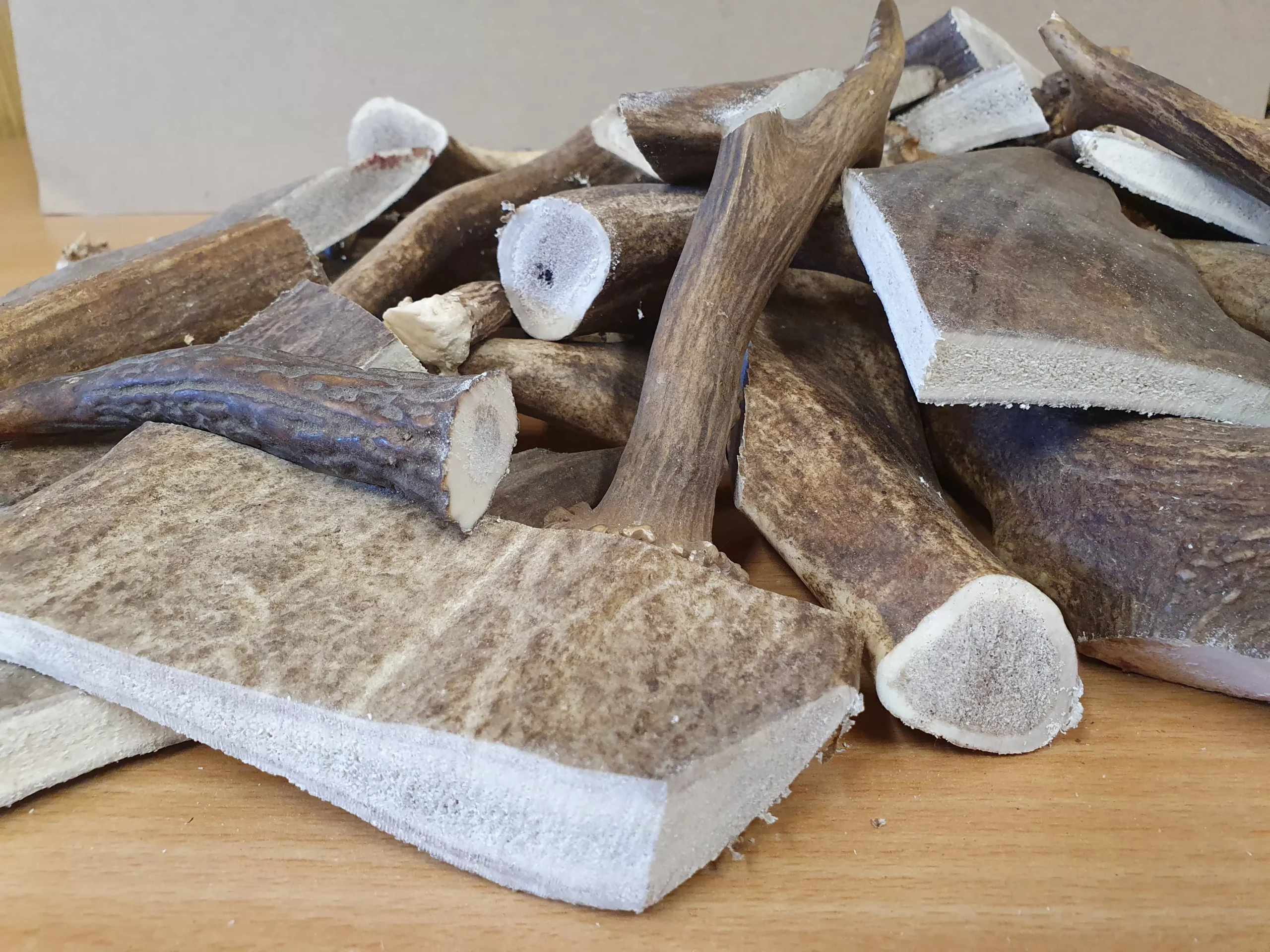 DIVOKÉ PAROŽÍ L (120-160g) pro psa do 35kg - Obrázek 3