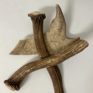 DIVOKÉ PAROŽÍ L (120-160g) pro psa do 35kg