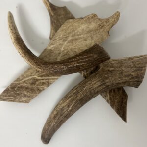 DIVOKÉ PAROŽÍ M (80-120g) pro psa do 25kg