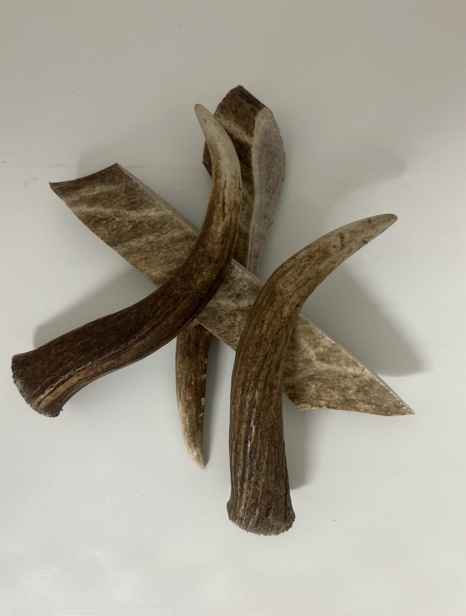 DIVOKÉ PAROŽÍ S (50-80g) pro psa do 12kg