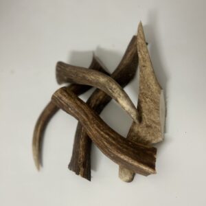 DIVOKÉ PAROŽÍ XS (25-50g) pro psa do 6kg